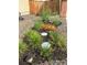 Landscaping featuring decorative rock and a variety of colorful plants that add beauty to the property at 5221 E 143Rd Dr, Thornton, CO 80602