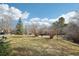 A spacious backyard features a blend of grass, trees, and a tire swing, perfect for outdoor activities at 7076 S Verbena Cir, Centennial, CO 80112