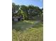 Backyard shed for extra storage, with abundant greenery and trees at 2350 / 2352 Garland St, Lakewood, CO 80215