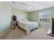 Cozy bedroom with carpet, ceiling fan and great natural light at 7869 Solstice Way, Castle Rock, CO 80108