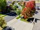 A street view of a well-maintained house with vibrant fall foliage creating a picturesque curb appeal at 23029 Cleveland Dr, Parker, CO 80138