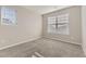 A carpeted bedroom with windows offers natural light, enhancing the room's cozy ambiance at 254 Ellendale St, Castle Rock, CO 80104