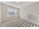 Bright carpeted bedroom features natural light streaming through the window, creating a warm, inviting space at 254 Ellendale St, Castle Rock, CO 80104