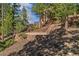 Exterior of home with terraced landscaping, brick retaining walls, and a tree-filled mountain setting at 5699 Northwood Dr, Evergreen, CO 80439