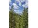 Scenic view of tall evergreens with the snow-capped mountains in the background and beautiful blue skies at 5699 Northwood Dr, Evergreen, CO 80439
