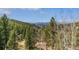 Scenic mountain view showcasing lush evergreens and aspens, perfect for nature enthusiasts at 5699 Northwood Dr, Evergreen, CO 80439