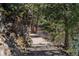 Scenic dirt path along a rocky hillside with mature trees and shrubs at 5699 Northwood Dr, Evergreen, CO 80439