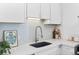 Close-up of the kitchen sink area with stylish backsplash and ample countertop space at 2643 N Marion St, Denver, CO 80205