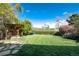 Expansive backyard featuring lush lawn and mature trees, offering privacy and space for outdoor activities at 7000 Highland Dr, Lakewood, CO 80214