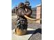 Sculpture of a mammoth head with flowers around the base in a community at 7208 Dolores Ave, Frederick, CO 80530