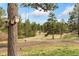 Tree swing and birdhouse with a view of the tree-filled yard at 1730 Ward Cir, Franktown, CO 80116