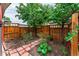 Private backyard garden with mature trees, wooden fence, and brick paver pathway at 2868 Kingston St, Denver, CO 80238