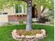 Charming home with a landscaped front yard featuring a stone-edged flower bed around a mature tree at 10633 Wynspire Way, Highlands Ranch, CO 80130