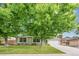 Charming one-story home with mature trees providing shade and curb appeal at 9431 W Jewell Pl, Lakewood, CO 80227