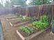 Neatly organized raised garden beds in the backyard at 8207 Ames Way, Arvada, CO 80003