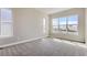 Bright bedroom featuring neutral colors, large windows offering natural light and plush carpet flooring at 119 Leafy Aster Ln, Castle Rock, CO 80104