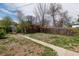View of the backyard featuring a path and foliage at 1445 Saint Paul St, Denver, CO 80206