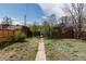 View of the backyard featuring a path and foliage at 1445 Saint Paul St, Denver, CO 80206