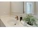 Well-lit bathroom with a clean sink, counter, and decorative plant, offering a fresh, inviting space at 633 S Galena St, Denver, CO 80247