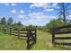 Scenic fenced backyard with lush greenery, mature trees, and a private setting at 7390 Rafter Rd, Franktown, CO 80116