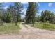 A long dirt driveway lined by mature trees leads up to the property on a sunny day at 7390 Rafter Rd, Franktown, CO 80116