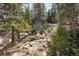 Rocky, sloped lot with mature trees and foliage at 2120 Gross Dam Rd, Golden, CO 80403