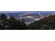 Breathtaking view of the city skyline from the wooded, elevated property, showcasing the beauty of nature and urban living at 812 Aspen Rd, Golden, CO 80401