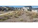 The view down the street highlights the decorative landscaping and the many homes in the neighborhood at 8137 Ralston Creek Ave, Littleton, CO 80125