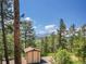 Scenic backyard view shows the shed against a backdrop of lush pine trees and distant mountains on a clear, blue-sky day at 5336 High Rd, Evergreen, CO 80439