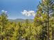 Scenic view of mountain landscape, clear sky, and lush green trees at 5336 High Rd, Evergreen, CO 80439