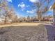 Expansive backyard with a lush lawn offers plenty of space for outdoor activities and relaxation at 6720 S Adams Way, Centennial, CO 80122