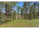 Picturesque backyard featuring mature trees and views of the lush green landscape at 29827 Gigi Rd, Evergreen, CO 80439