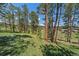 Lush backyard with scattered pine trees, offering serene views of the surrounding landscape at 29827 Gigi Rd, Evergreen, CO 80439