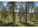 Expansive backyard with a view of neighborhood, surrounded by lush pine trees at 29827 Gigi Rd, Evergreen, CO 80439