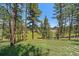 Green backyard dotted with tall pine trees offering serene views of the surrounding landscape at 29827 Gigi Rd, Evergreen, CO 80439
