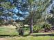 Lush backyard featuring mature trees and grassy lawn, ideal for outdoor activities at 22070 Day Star Dr, Parker, CO 80138