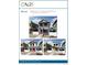 Three exterior elevations of a new construction home with varying siding colors at 10306 Uvalda Ct, Commerce City, CO 80022