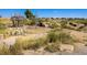Creative play area with wooden structures, a rope net, and various play elements at 14000 Winding River Ct # T3, Broomfield, CO 80023