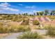Fun outdoor play area with slides, small cliffs, and plenty of room to roam at 14000 Winding River Ct # T3, Broomfield, CO 80023