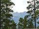 Scenic mountain range view framed by lush evergreen trees at 378 Juniata Cir, Breckenridge, CO 80424