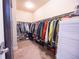 Spacious walk-in closet with organized shelving and ample storage space at 15484 E 115Th Ave, Commerce City, CO 80022