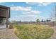 Spacious backyard with a green lawn, decorative rock border, and wooden fence, great for outdoor activities at 1660 Candleflower Dr, Castle Pines, CO 80108