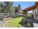 Well-maintained backyard featuring a covered patio, lush lawn, and white picket fence at 2558 Northview Pl, Castle Rock, CO 80104