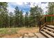 Beautiful wooded backyard of home showing large pine trees and access from a wooden deck at 54 Zaza Ln, Evergreen, CO 80439