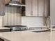 A close-up view highlighting modern appliances, countertops, and stylish fixtures in the kitchen at 8893 Springsong Ln, Littleton, CO 80125