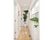 Well-lit hallway with neutral walls, hardwood floors, and a large potted plant at 3435 Lawrence St, Denver, CO 80205