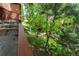 View of back yard from deck at 262 Yank Ct, Lakewood, CO 80228
