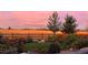 A tranquil garden space with vibrant flowers and lush greenery, framed by a scenic landscape and a colorful sky at 800 Meadowlark Dr, Erie, CO 80516