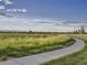 Scenic view of green space along the neighborhood walking path near open green space at 800 Meadowlark Dr, Erie, CO 80516
