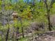 Wood sided house viewed through the trees with creek running nearby at 11220 S Deer Creek Rd, Littleton, CO 80127